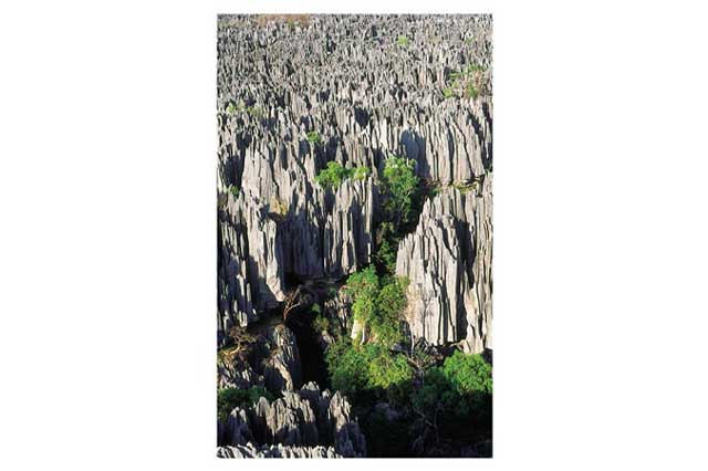tsingy1