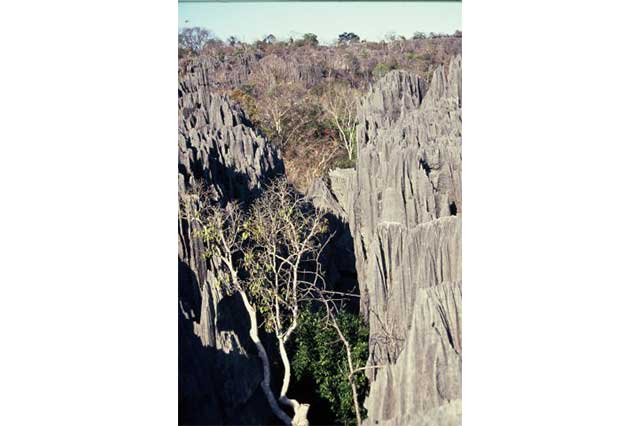 tsingy4
